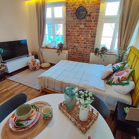 Apartamenty Piekary 11 Przy Wisle By Rentoom Stary Toruń المظهر الخارجي الصورة